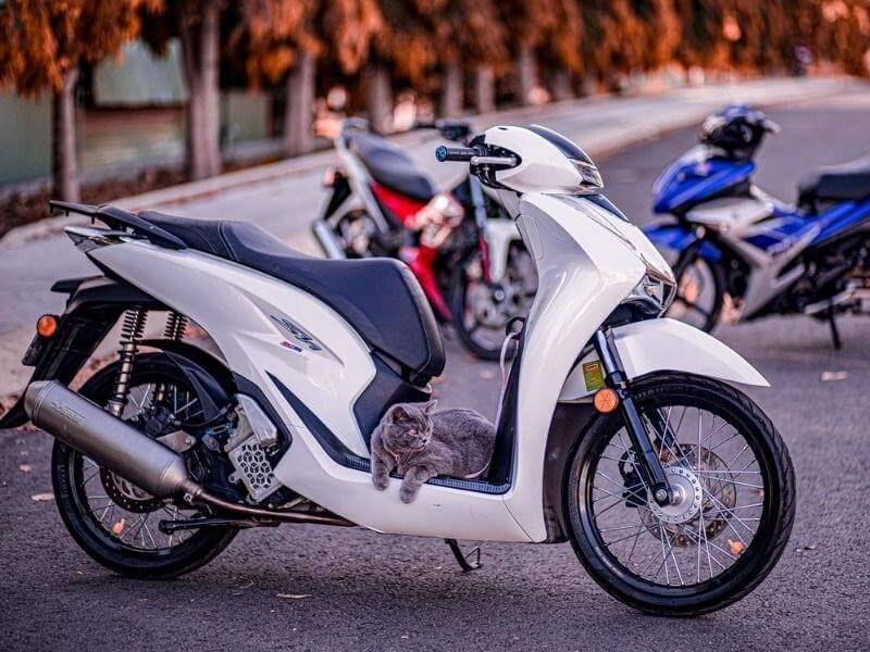 Điểm danh loạt đồ chơi đắt giá trên bản độ Honda SH kiểng tâm huyết của  biker Hà Nội  Xe máy  Việt Giải Trí