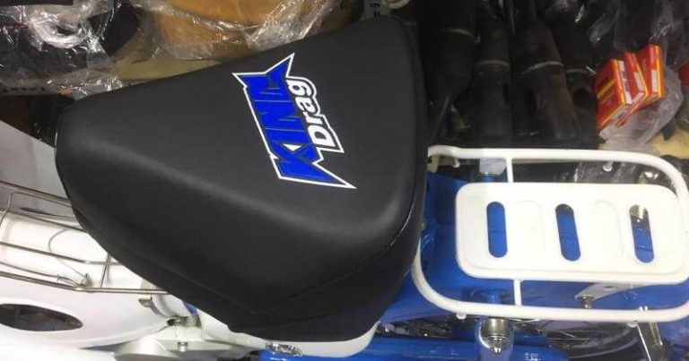 ly-do-cac-dan-choi-chuong-yen-xe-cub-do